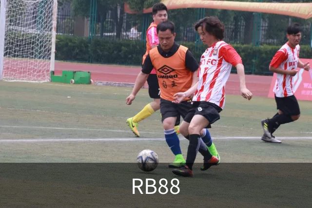 RB88公司简介展示图